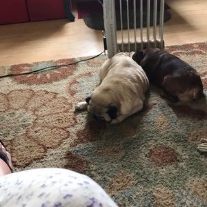 Meet your Posher, Martha